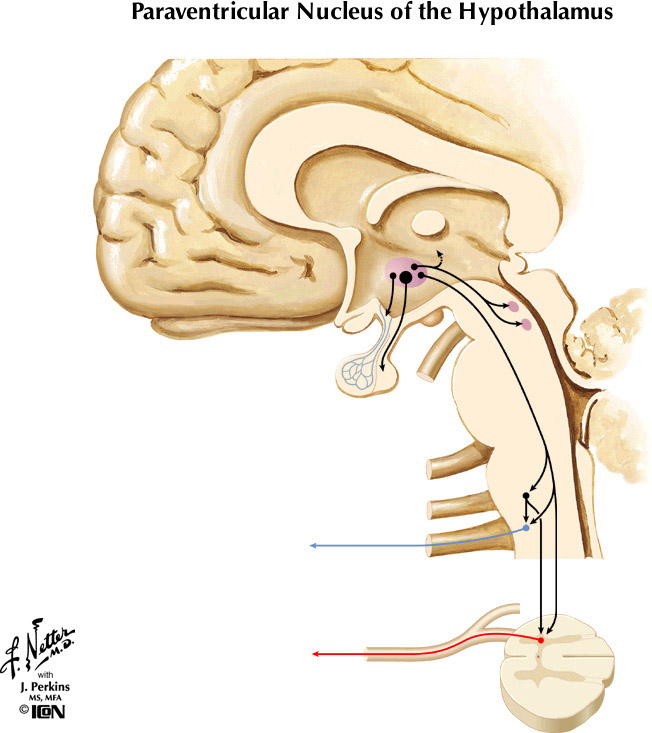 %_tempFileNameFigureIII.62%