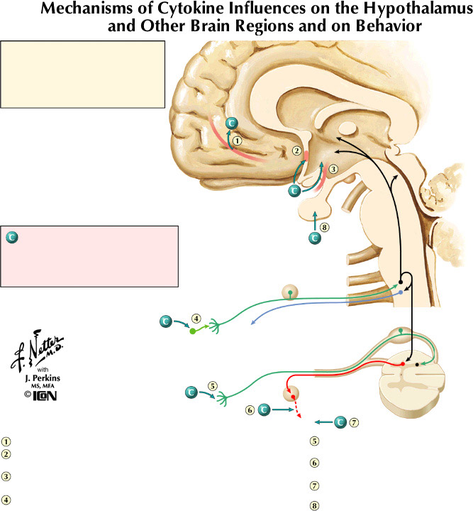 %_tempFileNameFigureIII.63%