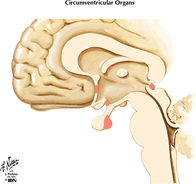 %_tempFileNameFigureIII.64%
