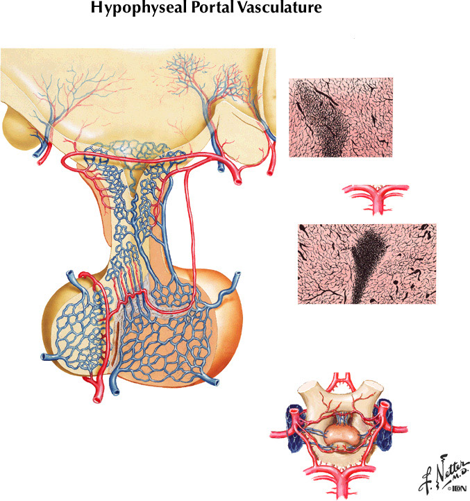%_tempFileNameFigureIII.65%