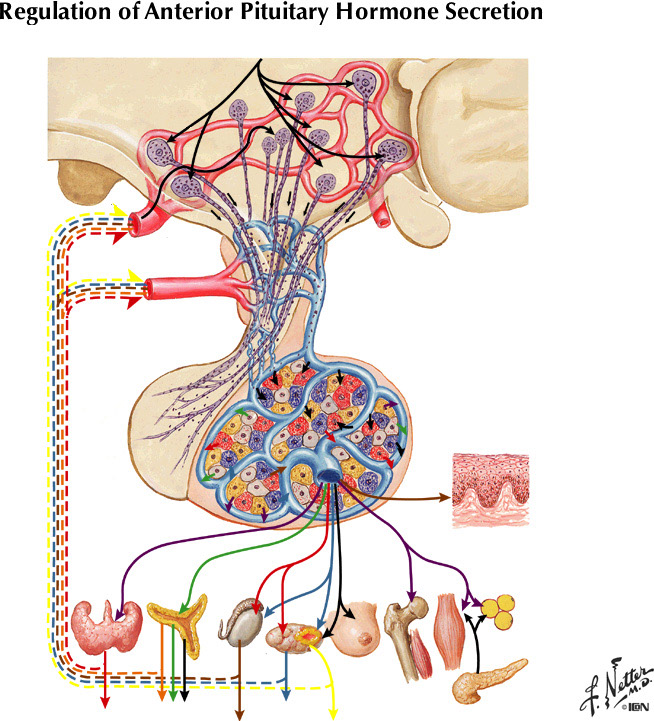 %_tempFileNameFigureIII.66%