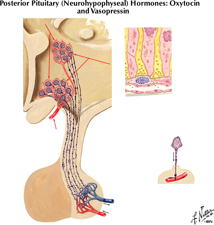 %_tempFileNameFigureIII.67%