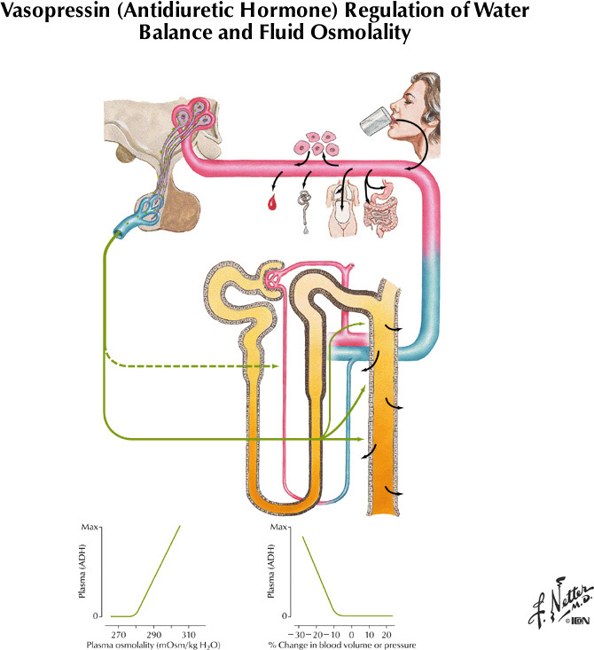 %_tempFileNameFigureIII.68%