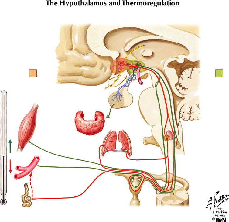 %_tempFileNameFigureIII.69%