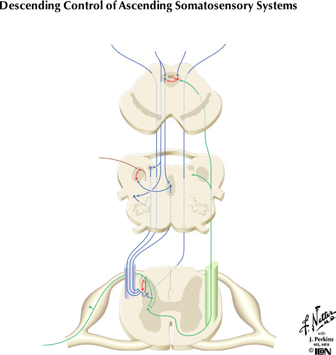 %_tempFileNameFigureIII.7%