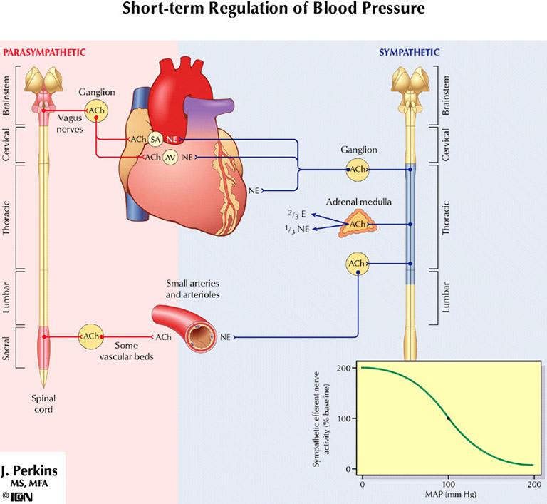 %_tempFileNameFigureIII.70A%
