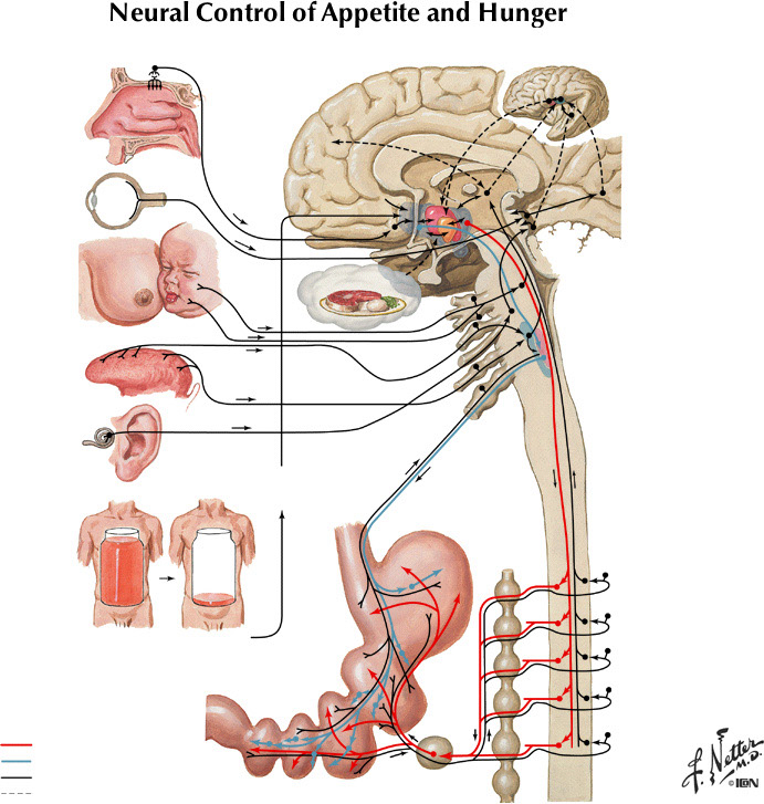 %_tempFileNameFigureIII.72%