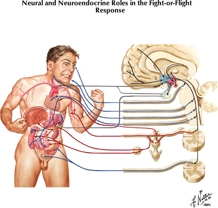 %_tempFileNameFigureIII.73%