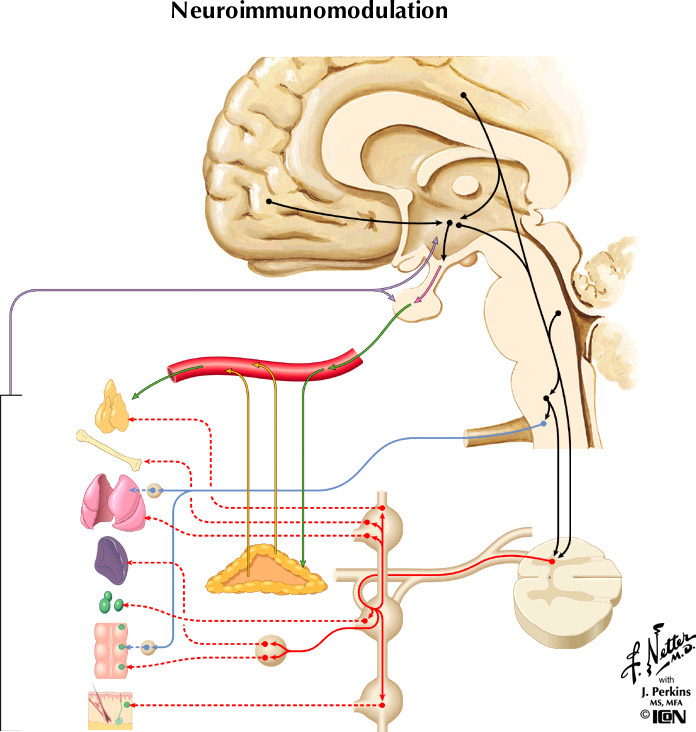 %_tempFileNameFigureIII.74%