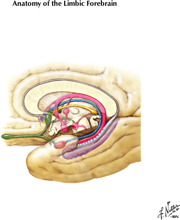 %_tempFileNameFigureIII.75%