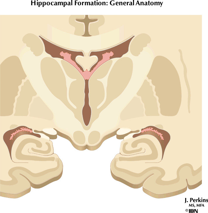 %_tempFileNameFigureIII.76%