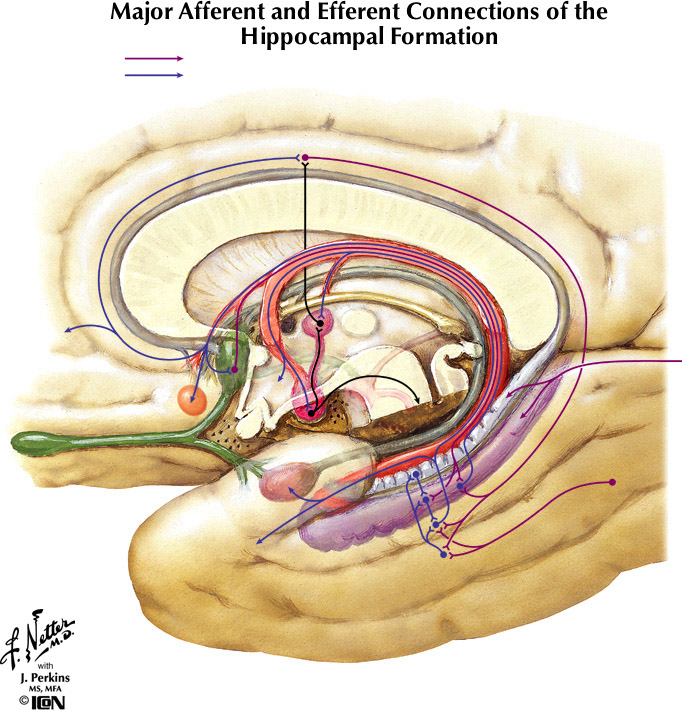%_tempFileNameFigureIII.78%