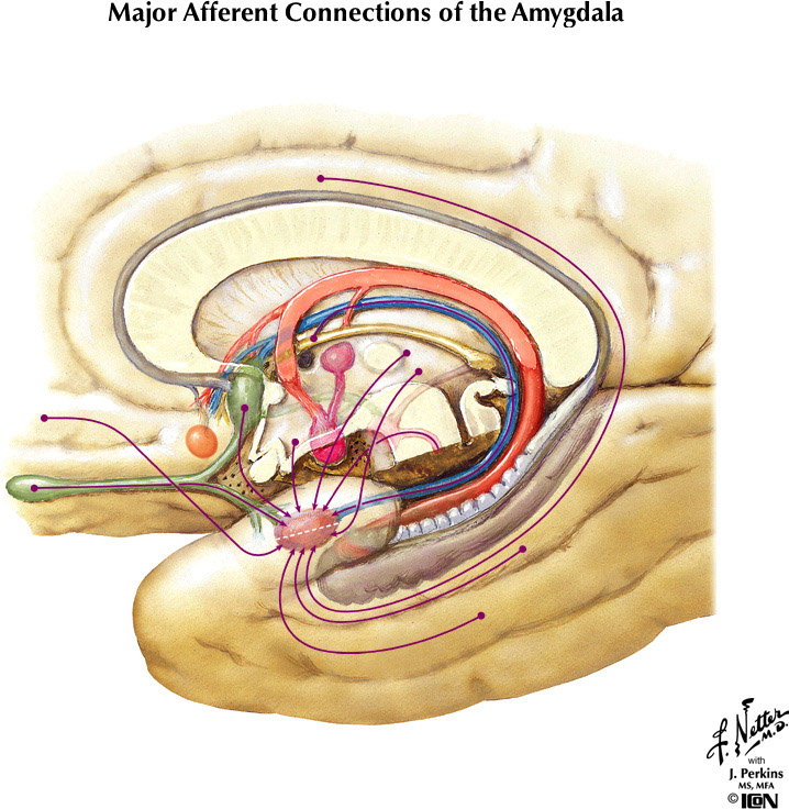 %_tempFileNameFigureIII.79%