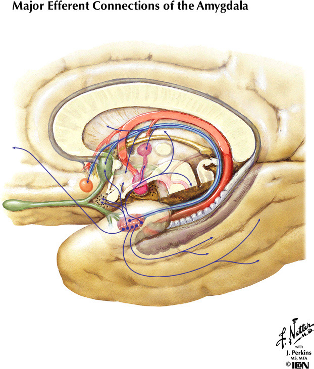 %_tempFileNameFigureIII.80%