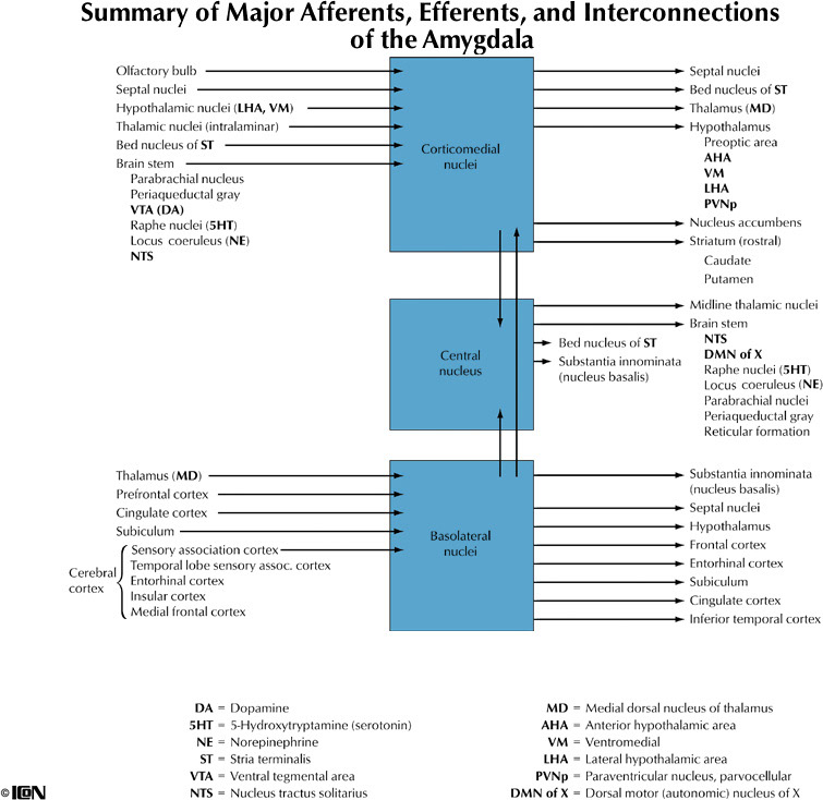 %_tempFileNameFigureIII.81%