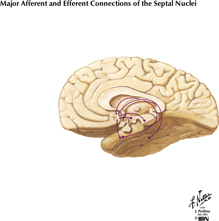 %_tempFileNameFigureIII.82A%