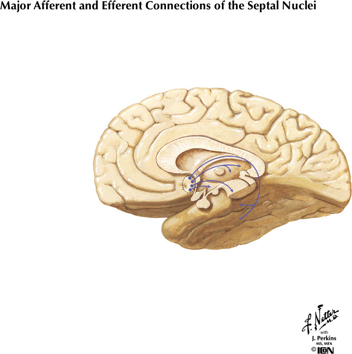 %_tempFileNameFigureIII.82B%