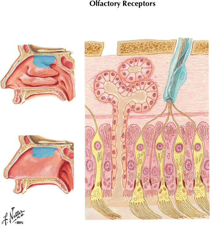%_tempFileNameFigureIII.84%