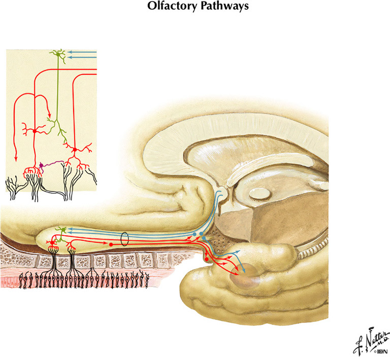 %_tempFileNameFigureIII.85%