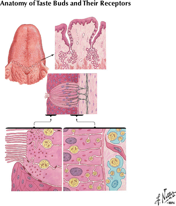 %_tempFileNameFigureIII.9%