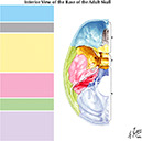 %_tempFileNameFigureI.17%