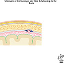 %_tempFileNameFigureI.41B%