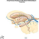 %_tempFileNameFigureI.61A%