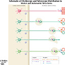 %_tempFileNameFigureII.36%