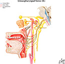 %_tempFileNameFigureII.71%