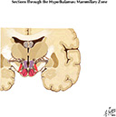 %_tempFileNameFigureIII.55A%