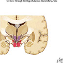 %_tempFileNameFigureIII.55B%