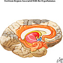 %_tempFileNameFigureIII.57%