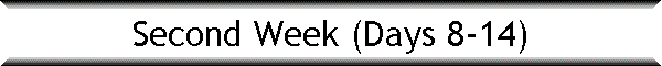 Second Week (Days 8-14)